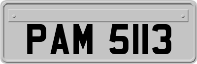 PAM5113