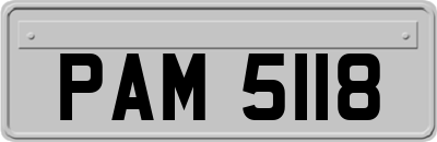 PAM5118