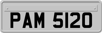PAM5120