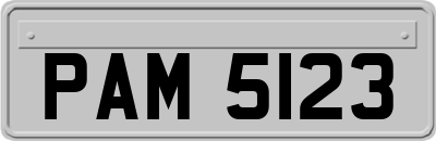 PAM5123