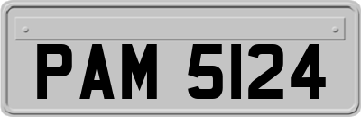 PAM5124