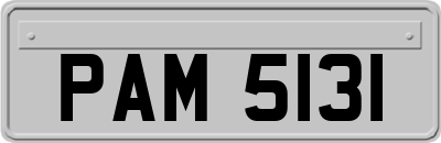 PAM5131