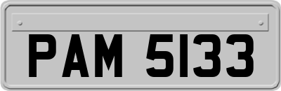 PAM5133
