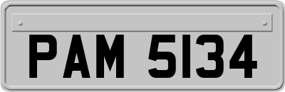 PAM5134
