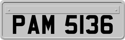 PAM5136