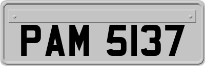PAM5137