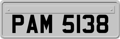 PAM5138