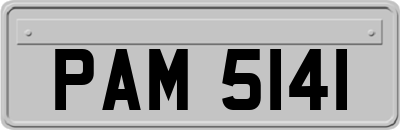 PAM5141