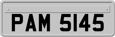 PAM5145