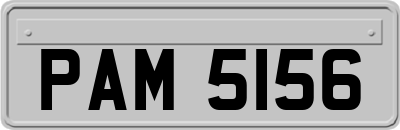 PAM5156