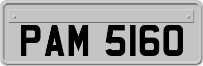 PAM5160