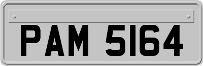 PAM5164