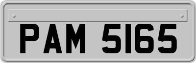 PAM5165