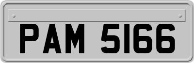 PAM5166