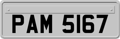 PAM5167