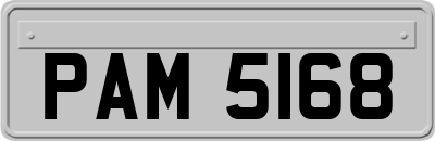 PAM5168