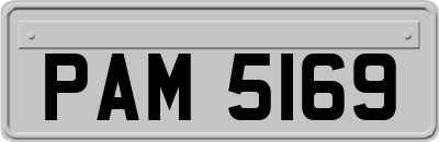 PAM5169