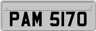 PAM5170