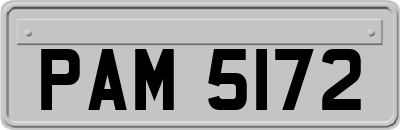 PAM5172