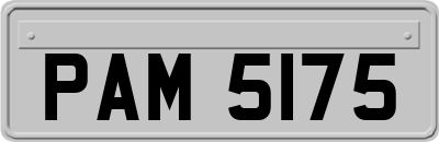 PAM5175