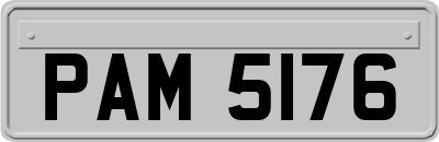 PAM5176
