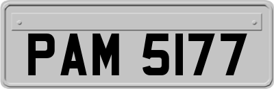 PAM5177