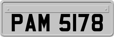 PAM5178