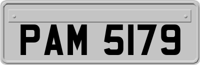 PAM5179