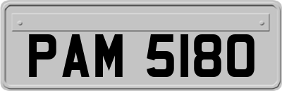 PAM5180