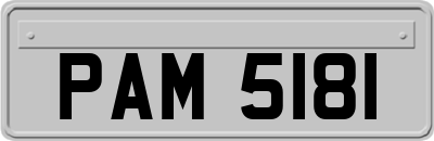 PAM5181