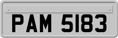 PAM5183