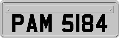 PAM5184