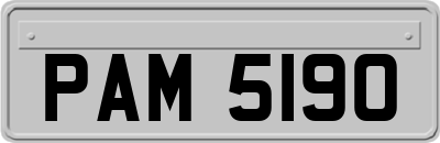 PAM5190
