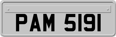 PAM5191
