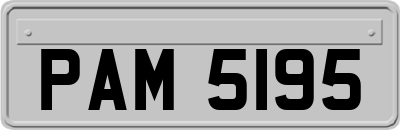PAM5195