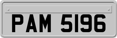 PAM5196