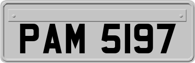 PAM5197