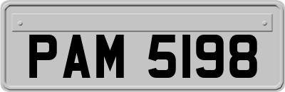 PAM5198