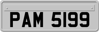 PAM5199