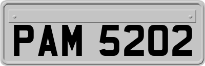 PAM5202