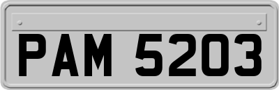 PAM5203