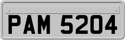 PAM5204