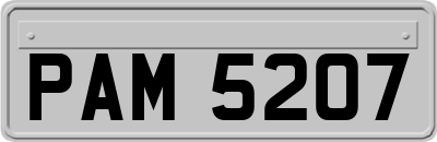PAM5207