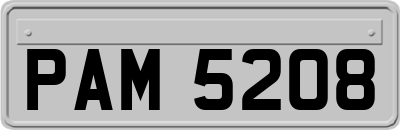 PAM5208