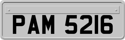 PAM5216