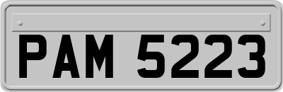 PAM5223