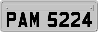 PAM5224