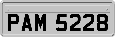 PAM5228