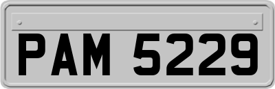 PAM5229
