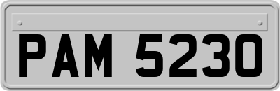 PAM5230